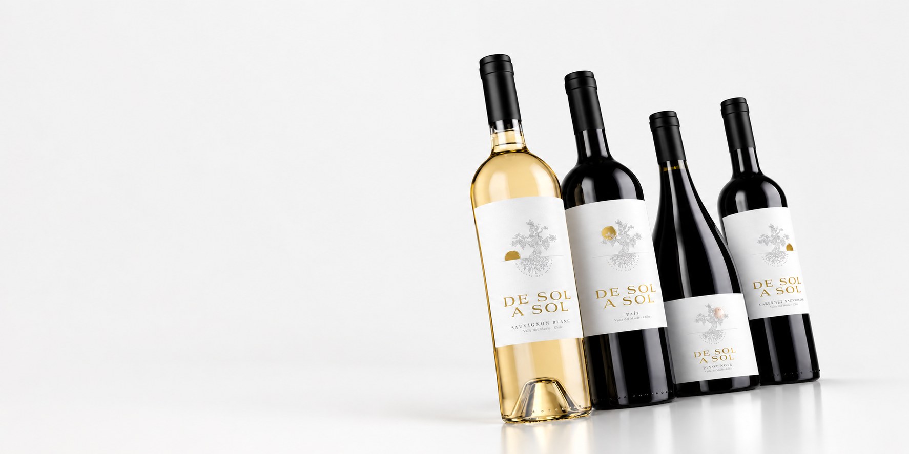 Vinos De Sol a Sol
